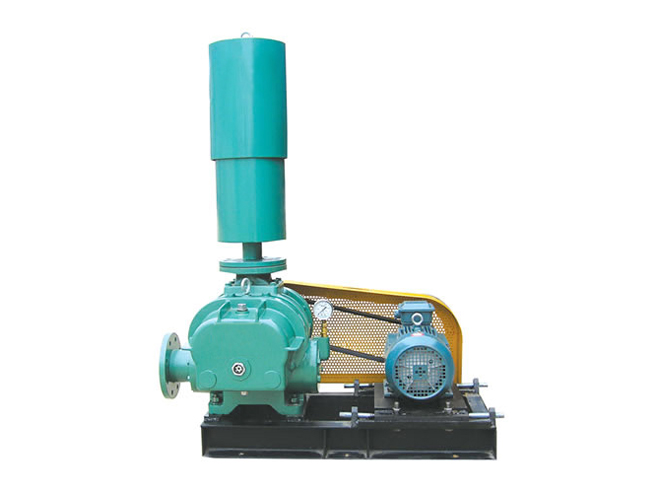 羅茨鼓風(fēng)機(jī)